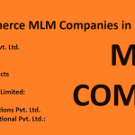 Top 10 E-Commerce MLM Companies in India 2024